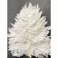Bunga Pakis Highland Awet 45cm 200g Dekorasi Rumah, Pernikahan & Ulang Tahun Bahan Kering Awet Produsen Yunnan