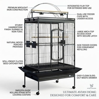 Cage à oiseaux en acier de style contemporain, faite à la main, pour perroquets gris ara, grande cage pour animaux de compagnie, multicolore, pour usage intérieur, en promotion