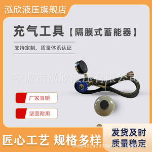 Herramienta de Carga de Nitrógeno Hongxin M28 1.5, Conector de Acero, Inflador de Fluidos Hidráulicos - Product Image 4