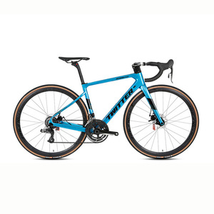 Bicicleta de Carretera Stealthpro 700C con Cuadro de Carbono y Frenos de Disco Dobles - Product Image 1