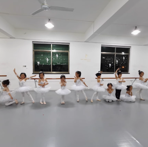 Tutù 2025 per bambine gonna per bambini allenamento di danza del cigno indossare abiti <span class=keywords><strong>Tutu</strong></span> in Costume da <span class=keywords><strong>Ballerina</strong></span> - Product Image 4