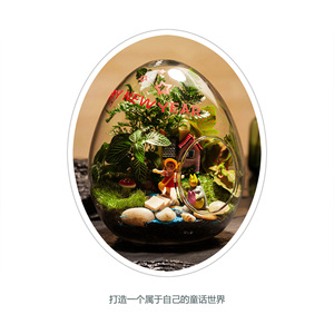 Precio de fábrica DIY Micro paisaje en forma de huevo Plantas en maceta Oficina creativa Micro paisaje para Año Nuevo Boda Nueva llegada - Product Image 3