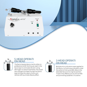 Dispositivo de Beleza Facial de Bio-microcorrente para Lifting, Antienvelhecimento, Firmador e Redutor de Rugas, Plugue dos EUA para Salão e Spa - Product Image 2