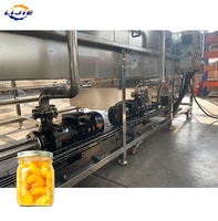 Machine de pasteurisation continue hautement automatisée à bande transporteuse en acier inoxydable de type pulvérisateur pour porridge aux huit trésors