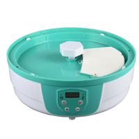 Déshydrateur alimentaire électrique, machine ménagère en plastique, 5 plateaux, contrôle numérique, minuterie 48 heures, affichage de la température 70°C pour le jerky de bœuf