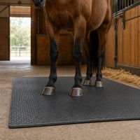 Tapis en caoutchouc EPDM antidérapant et résistant à l'usure, épais, en rouleau, pour rampes de remorque de vaches et chevaux, 12 mm et 17 mm