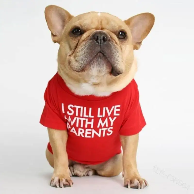 Fabrik benutzer definierte personal isierte Haustier Charme kleine Sommer Haustier Kleidung Sicherheit drucken Hund T-Shirts