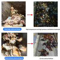 Vente flash : Petites unités pour une petite abattoir avicole, élevage de volailles, poulets, canards et oies morts