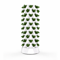 Tour de culture verticale hydroponique pour serre, 10 niveaux, pour jardinage sans sol, avec pompe submersible et paniers en filet