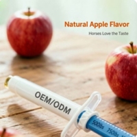 Pâte nutritionnelle équine aromatisée à la pomme 1,87 % – Supplément nutritionnel équin – Commandes en gros personnalisées OEM