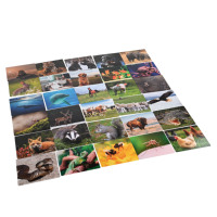 Cartes flash d'animaux à impression personnalisée pour enfants Cartes mémoire flash pour enfants Jeu de cartes personnalisé