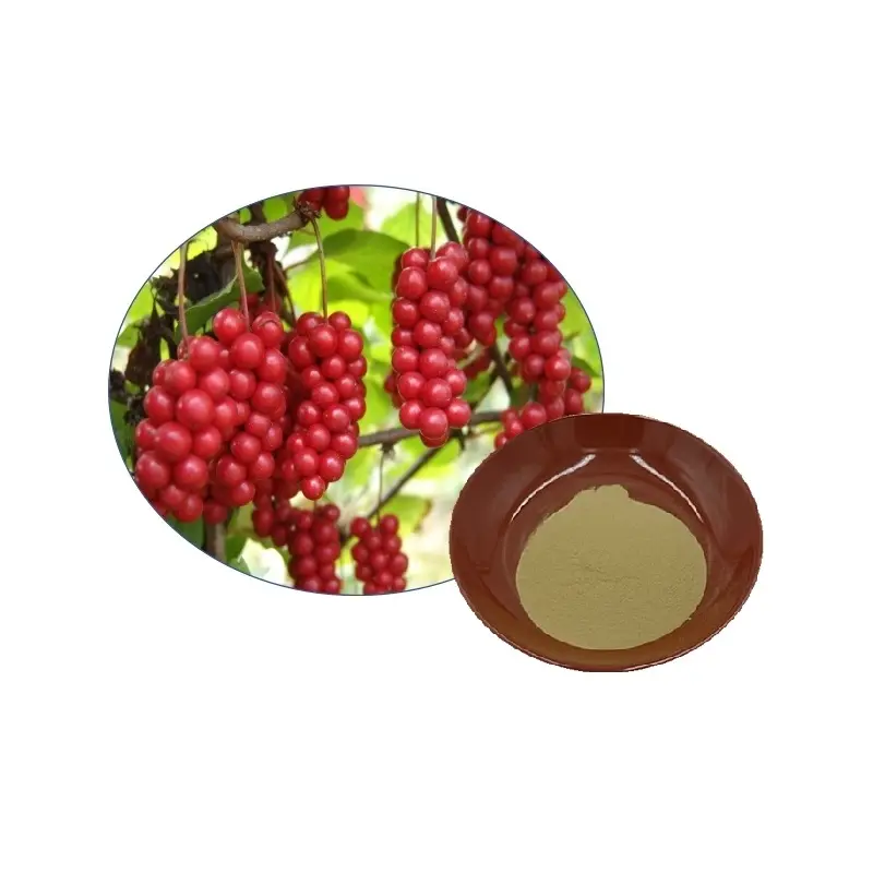 Factory Supply Schisandra Extract 1%-31% Schisandrin Powder Schisandra chinensis Extract