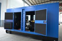 Générateurs Diesel Weichai 250kW 300kW 300kVA de Marque Chinoise de Renom, Alternateur Synchrone Sans Balais Robuste, Démarrage Automatique, Télécommande