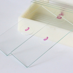 Portaobjetos biológicos de alto índice de refracción son materiales didácticos típicos para observar lamelas claramente estructuradas; biológicos - Product Image 2