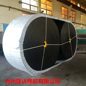 Bande transporteuse en nylon à 2 couches résistante à la chaleur pour usine de fabrication - Product Image 2