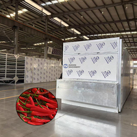 Continue groenten-droogmachine met gaasband, chilipeper-droogmachine met gaasband, chilipeper-droogmachine