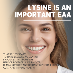 Capsule per il Supporto Immunitario OEM/ODM |   Formula di L-Lisina, Quercetina e Vitamina C |   Vendita all'Ingrosso e Etichetta Privata - Product Image 6