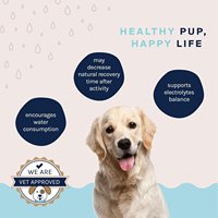 Poudre d'électrolyte d'hydratation rapide OEM/ODM pour chiens-Formule vétérinaire, arrête la déshydratation due à la diarrhée, aux vomissements et à la chaleur