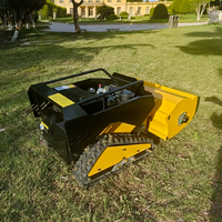 Livraison Gratuite Tondeuse Robot à Fléaux Télécommandée Tout-Terrain Agricole en Caoutchouc avec Moteur Diesel CE EPA 800mm 1000mm