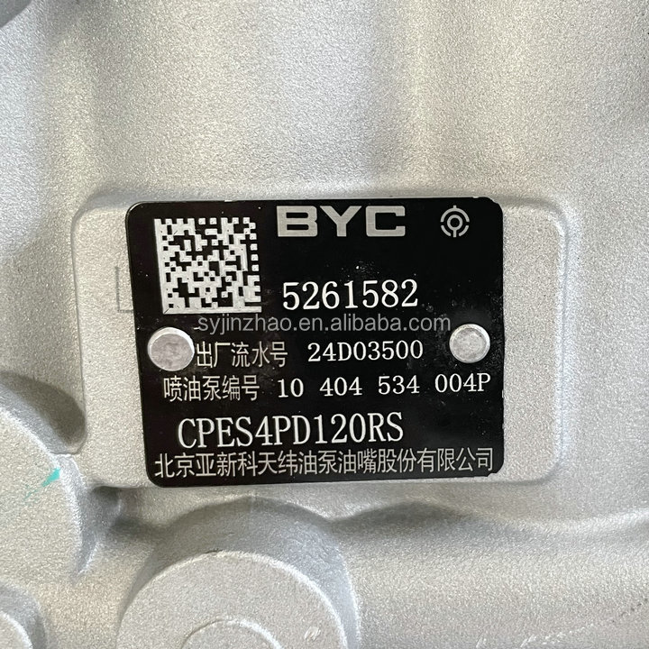 CPES4PD120RS BYC Fuel Injection Pump for Cummins B125-33