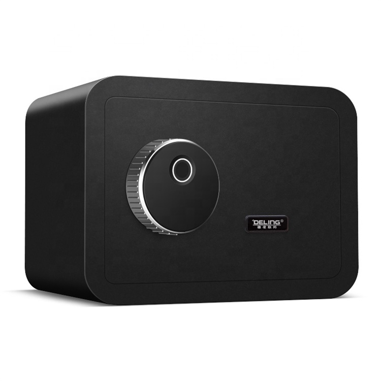 SentrySafe QAP1BLX Coffre-fort biométrique pour arme de poing ou pistolet, coffre-fort pour empreintes digitales avec éclairage intérieur, capacité 1 arme de poing, rangement d'armes à feu avec kit de