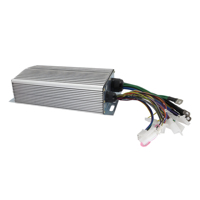 Kontroler Motor Listrik DC 24V-72V Harga Pabrik, Kontroler Motor Brushless DC untuk Sepeda Motor, Tricycle Flatbed 2-Speed Brushless