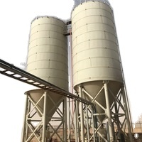 Silo de stockage en acier au carbone de 3000 tonnes
