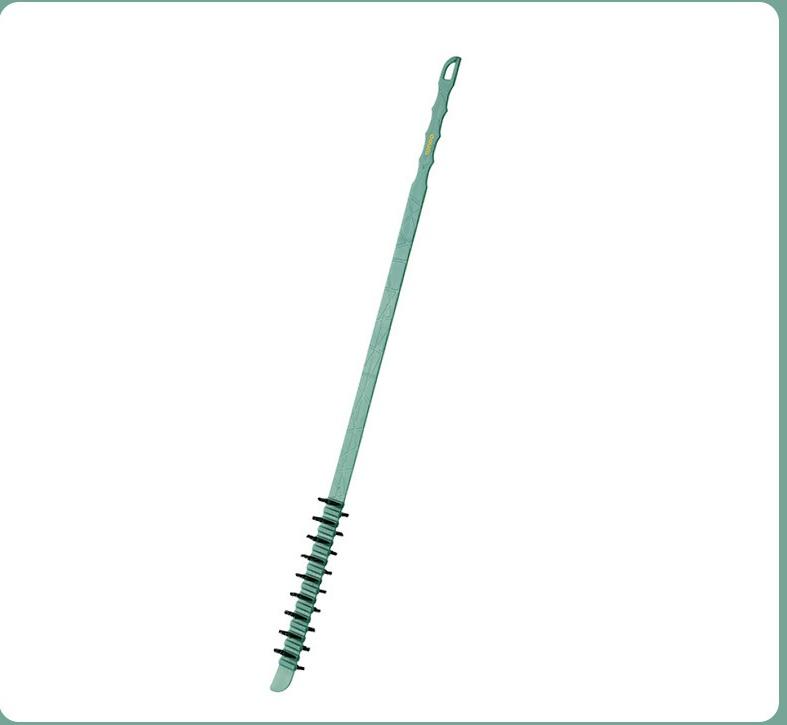 สีเขียวอ่อน