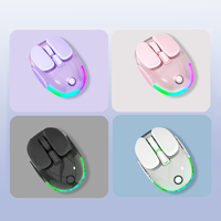 Souris de jeu transparente double mode T24 2,4 GHz BT Type-C RVB rétroéclairée rechargeable compacte ergonomique pour PC portable et bureau