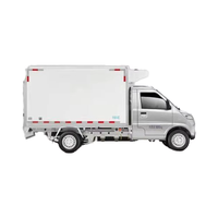 Camionnette électrique Wuling 41,86 kWh à plateau plat, 2 places, autonomie 250-300 km, pour le transport de marchandises