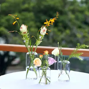 NISEVEN vas kaca silinder Modern 3 BH/set, untuk dekorasi ruang pernikahan, vas bunga kecil bening ditiup tangan