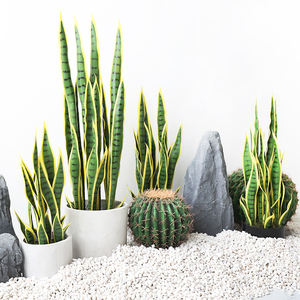 Gran <span class=keywords><strong>planta</strong></span> en maceta verde artificial con borde dorado simulado cola <span class=keywords><strong>de</strong></span> <span class=keywords><strong>tigre</strong></span> Lanula para exhibición <span class=keywords><strong>de</strong></span> ventana paisajismo artículo decorativo - Product Image 3