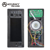 Module d'amplificateur de puissance actif professionnel Accuracy Pro Audio 15APN 350W