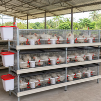 Nouvelle cage à poulets de chair pour élevage commercial, type H, haute capacité, haute résistance à la corrosion, résistante à la chaleur, résistante à l'humidité