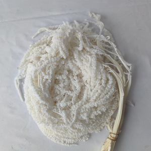 Fleurs et plantes stabilisées, fleurs séchées naturelles, amarantes blanches stabilisées suspendues pour la décoration florale - Product Image 6