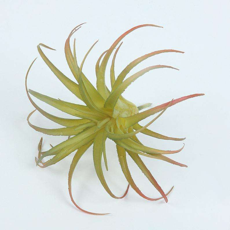 Large green and red tips