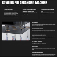 Simulateur de piste de bowling intérieur Projection virtuelle de plancher de bois simulé Boule de bowling Jeu d'arcade AR Machine de bowling de cricket