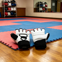 Gants d'entraînement de Taekwondo en matériau respirant, unisexes, pour la boxe, le karaté et le Taekwondo (mains et pieds)