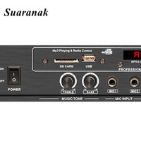 Amplificateurs de puissance professionnels RF à 2 canaux AV-209 Acheter une carte de module d'amplificateur