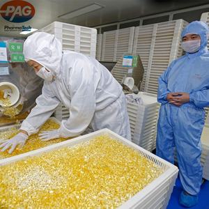 GMP Seas Bacalhau Óleo Fígado Extrato Bulk Liquid Softgel Cápsula - Product Image 4