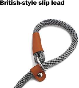 Correa para perro, cuerda antideslizante, correa de plomo, cuerda trenzada fuerte, plomo de entrenamiento sin tirones - Product Image 3
