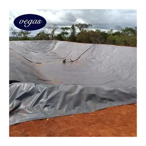 Disposal Impermeable 1mm Swimming Pool Membrane 0.5mm 0.75mm HDPE Geomembrane 1.5mm 2mm Pond Liner Water Tank Sheet Film