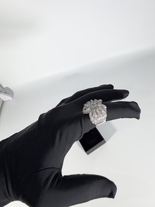 Anillo de Estilo Urbano Hip-Hop con Araña de Circonio, Chapado en Cobre con Oro Real, Joyería de Circonio, Regalo Personalizado, Anillo de Tarántula - Product Image 3