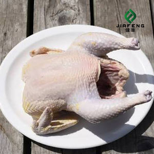 <span class=keywords><strong>Pollo</strong></span> <span class=keywords><strong>Entero</strong></span> Halal Congelado, <span class=keywords><strong>Precio</strong></span> Bajo, <span class=keywords><strong>Precio</strong></span> Competitivo, Alta Calidad, Sacrificado a Mano - Product Image 3