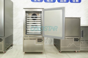 Congelatore commerciale avanzato per il congelamento istantaneo rapido della macchina del congelatore del gelato della pasticceria del pollo del pesce - Product Image 3