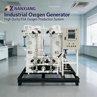 Nanxiang 10Nm³/h Pressure Oxygen Generator Industrial Oxygen Production Plant Oxygen Making Machine for Oxygen Supply