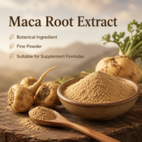 HBEUNDAS Fournisseur Fabricant : Poudre de plantes en maille standard, extrait de racine de Maca, disponible en OEM