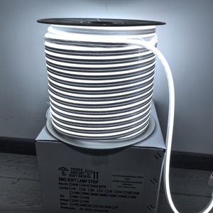 8X16MM 120LEDs/M luces de neón sin conductor decoración IP65 <span class=keywords><strong>tira</strong></span> de luz <span class=keywords><strong>Led</strong></span> <span class=keywords><strong>220V</strong></span> 110V <span class=keywords><strong>Tira</strong></span> <span class=keywords><strong>Led</strong></span> neón 10cm por corte <span class=keywords><strong>Led</strong></span> neón Flex - Product Image 1