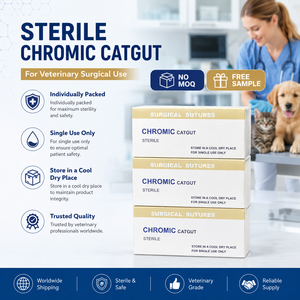 Suturas <span class=keywords><strong>de</strong></span> Catgut Crómico Veterinario <span class=keywords><strong>de</strong></span> Alta Calidad, Hilo Quirúrgico Absorbible Estéril para Mascotas - Product Image 3