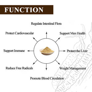 공장 공급 대량 말린 동홍두근 균사체 추출 분말 저렴한 가격 다당류 건강을 위해 - Product Image 2